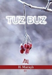 Tuz Buz - Baygenç Yayıncılık