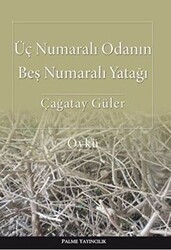 Üç Numaralı Odanın Beş Numaralı Yatağı - Palme Yayıncılık