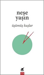 Üşümüş Kuşlar - Ayrıntı Yayınları
