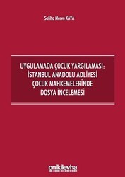 Uygulamada Çocuk Yargılaması: İstanbul Anadolu Adliyesi Çocuk Mahkemelerinde Dosya İncelemesi - On İki Levha Yayınları