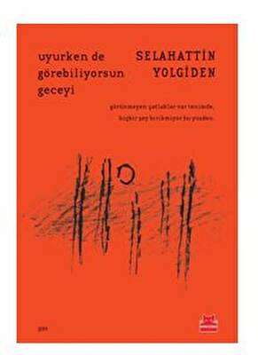 Uyurken de Görebiliyorsun Geceyi - 1