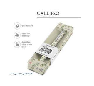 Victorias Journals Callıpso Tükenmez Kalem Kutulu C-14 - 1