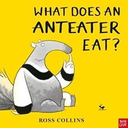 What Does an Anteater Eat? - Nosy Crow