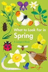 What to Look For in Spring - Ladybird Book