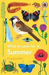 What to Look For in Summer - Ladybird Book