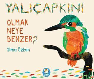 Yalıçapkını Olmak Neye Benzer? - 1