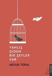 Yanlış Giden Bir Şeyler Var - Destek Yayınları