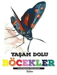 Yaşam Dolu Böcekler ve Bilinmeyen Özellikleri - Teleskop Popüler Bilim