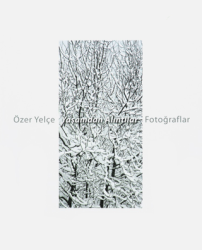 Yaşamdan Alıntılar - Masa Yayınevi