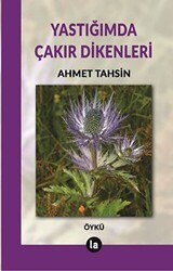 Yastığımda Çakır Dikenleri - La Kitap