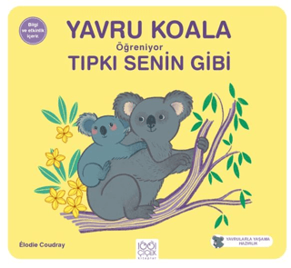 Yavru Koala Öğreniyor Tıpkı Senin Gibi - 1