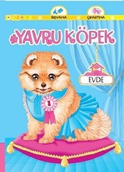 Yavru Köpek Evde - Koloni Çocuk