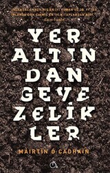 Yeraltından Gevezelikler - Aylak Adam Kültür Sanat Yayıncılık