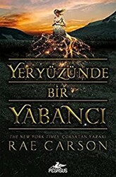 Yeryüzünde Bir Yabancı - Pegasus Yayınları