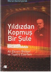 Yıldızdan Kopmuş Bir Şule - Akademik Kitaplar