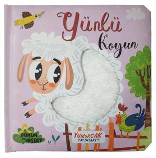 Yünlü Koyun - 1