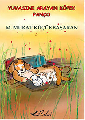 Yuvasını Arayan Köpek Panço - 1