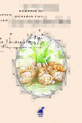 Zıpzıp Tavşancıkların Masalı - Dinozor Çocuk